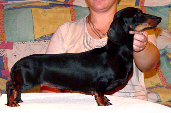 magik rainbow Harmony