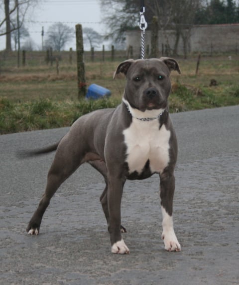 Publication : Fanatic staff