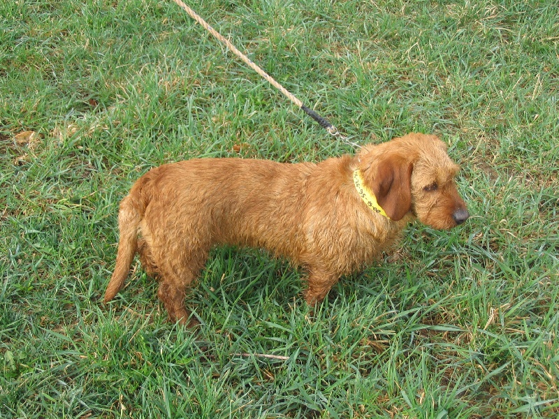 Publication : du Rec de Lessude 