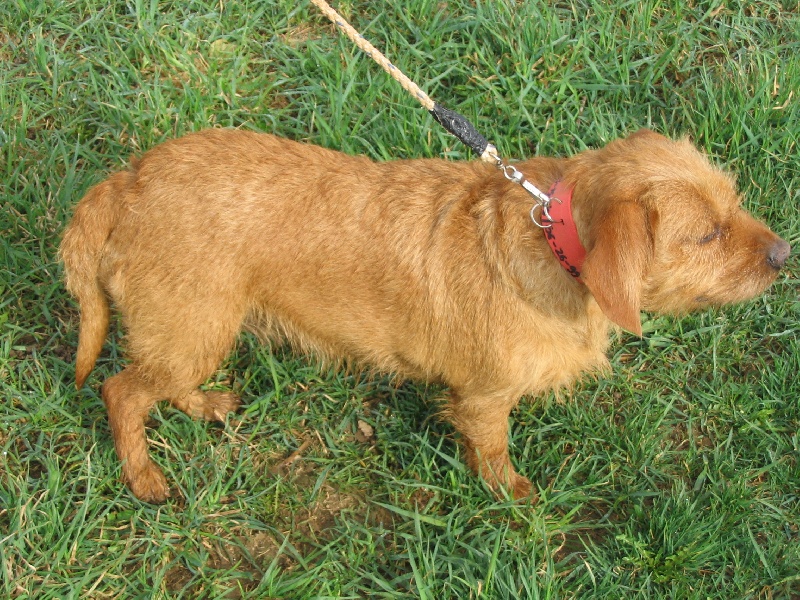 Publication : du Rec de Lessude