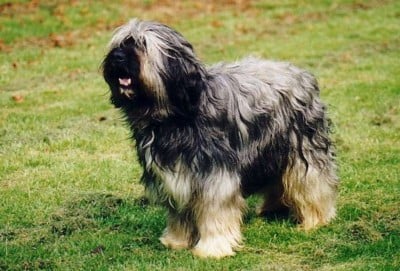 Publication : Des coeurs d'alène Auteur : Virginie GUY