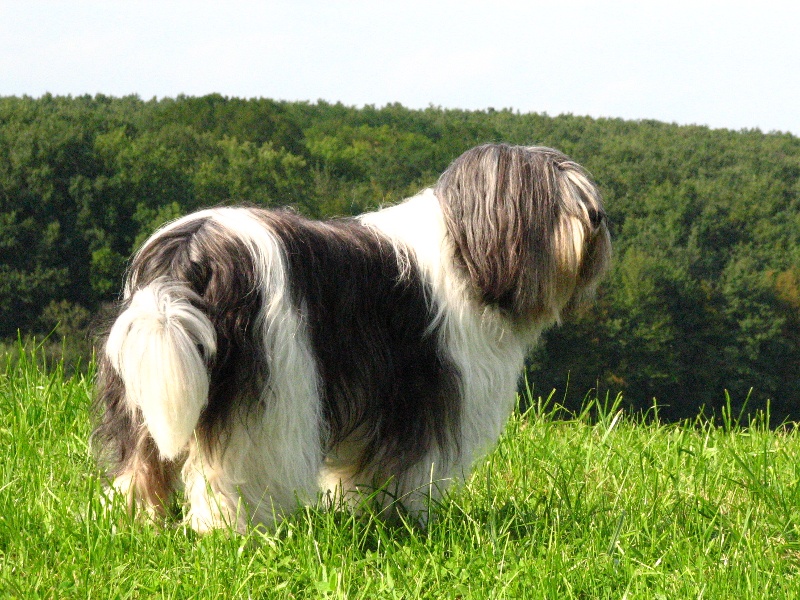 Publication : Du clan mikero 