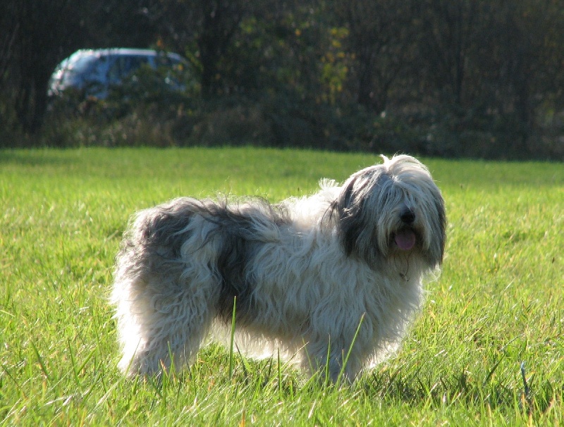 Publication : Du clan mikero 