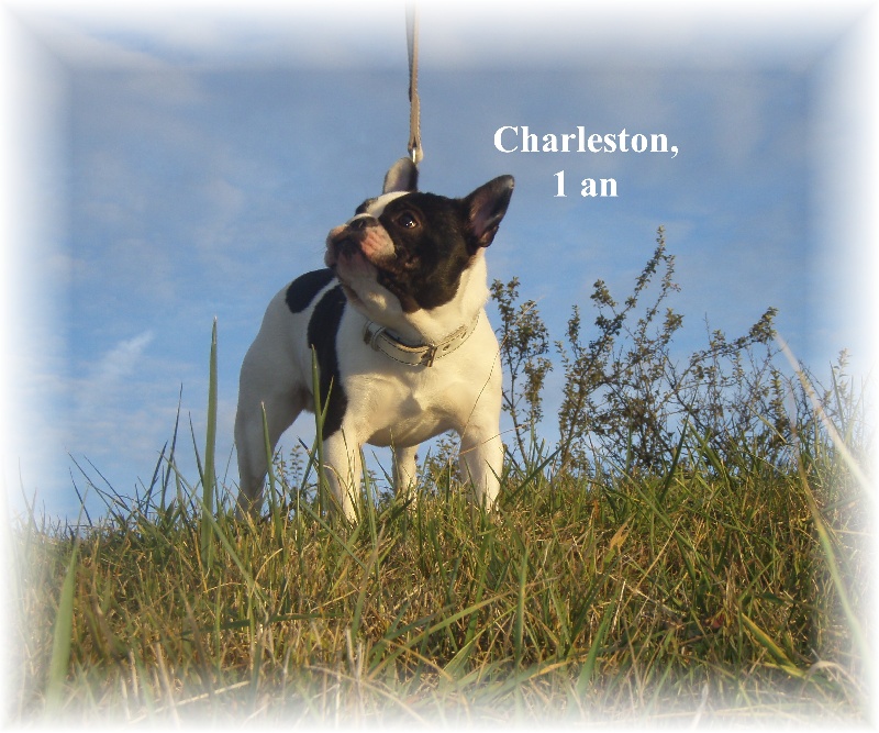 Charleston boy des Légendes Minières