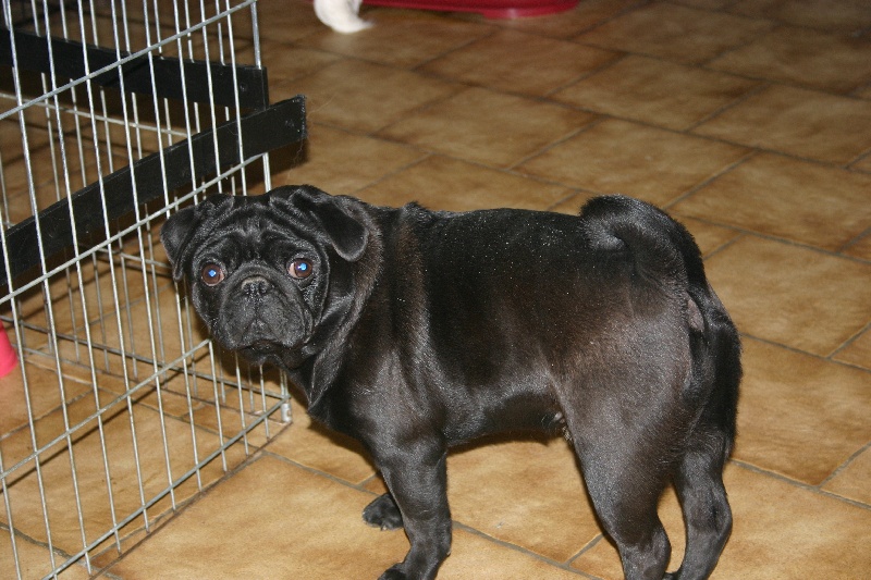 Publication : des Joyaux de Vénus