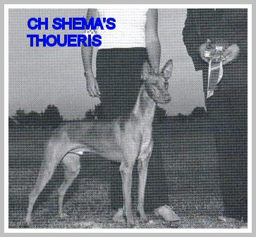 CH. shema's Thoueris