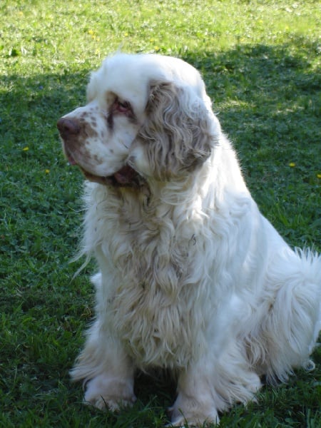 Publication : de la Fontaine Molière