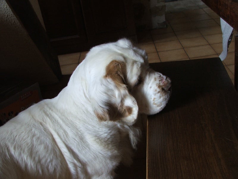 Publication : des Etangs de Dame Blanche 