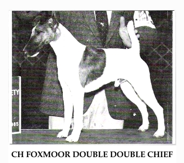 CH. Foxmoor Double double chief