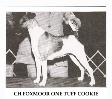 CH. Foxmoor One tuff cookie