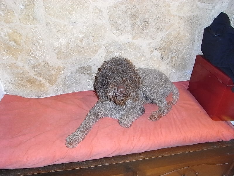 Publication : de la Manoline 