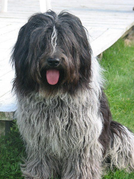 Publication : des rives de la Vaucouleur Auteur : bernadette Calleri