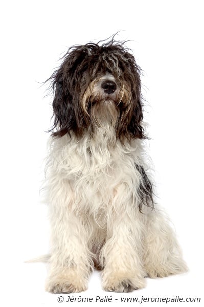 Publication : de Val d'Ouneytte Auteur : M. Palle