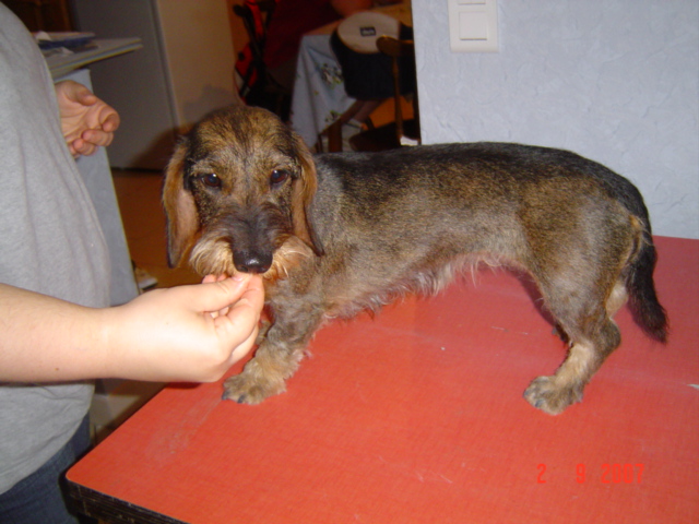 Abyss Du moulin de la grotte
