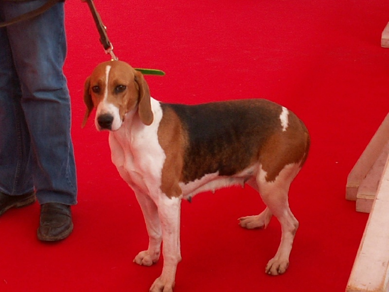 Publication : de la combe du Luberon 