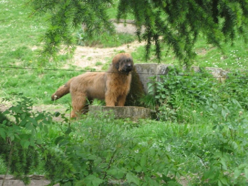 Publication : des monts d'en crouzille 