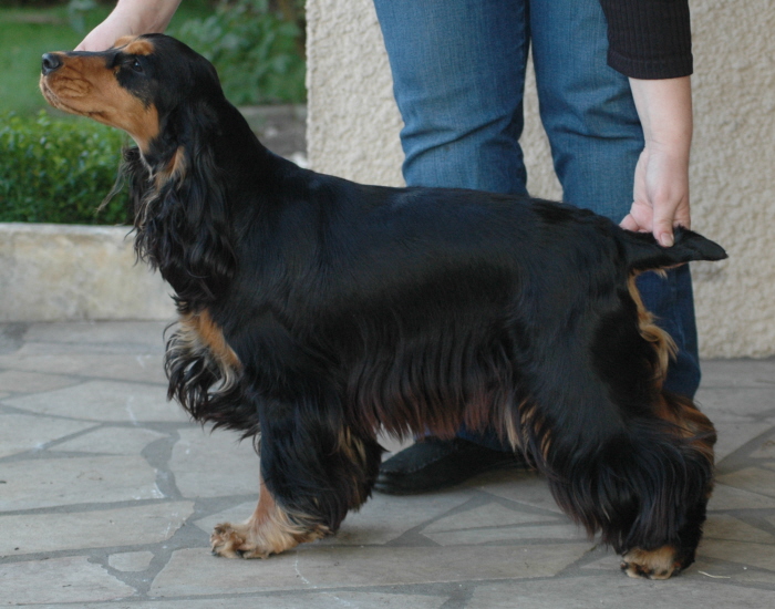 Publication : Andilhon