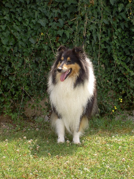 Publication : de la vallée d'ubaye