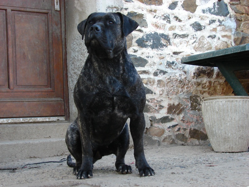 Publication : d'Assanne Story 