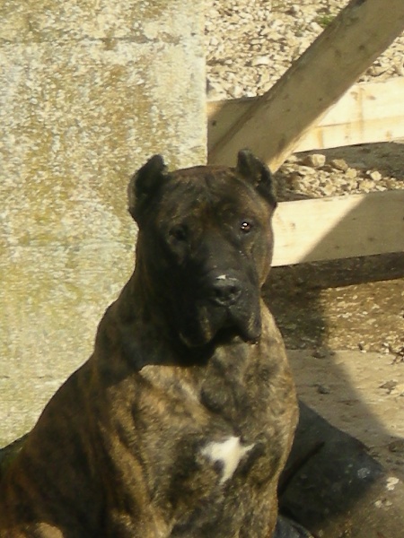 Publication : du Domaine de Walcan Auteur : ben