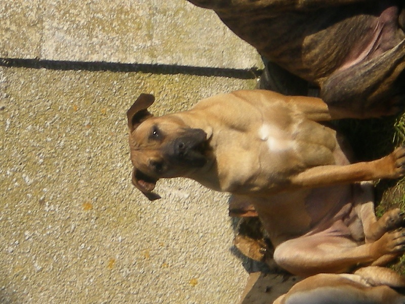 Publication : du Domaine de Walcan 