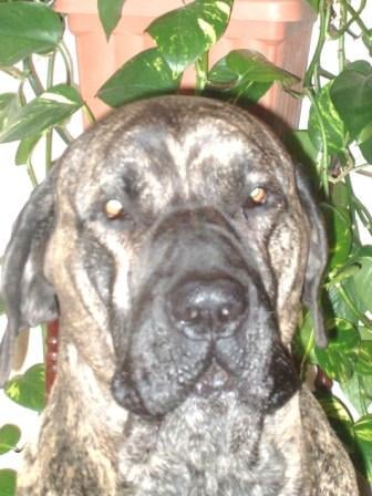 Twisty du chateau de granes-