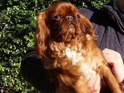 Publication : de las Fuentes del Narcea 