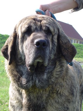 Venise du Chemin Des Puits Tournants