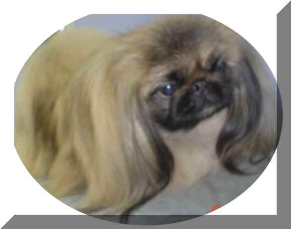 Publication : Quadra