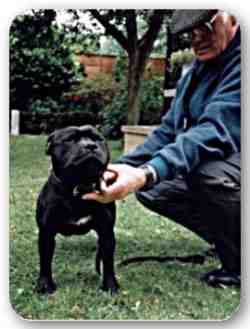 CH. belsevore Ross-n-co