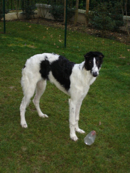 Publication : du Clos des Sabines 