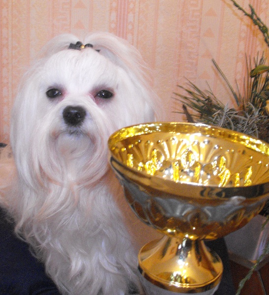 Publication : des flocons de la Dive Auteur : Mme BALLAGE