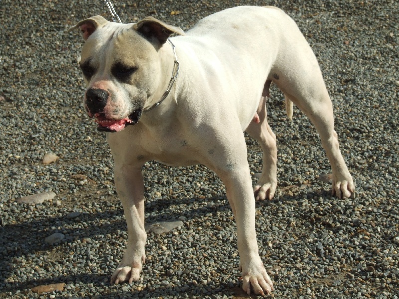 Publication : (Sans Affixe) 