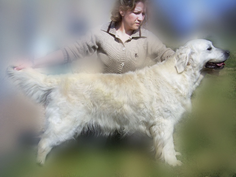 Publication : Cap may Auteur : Aurélie LAVOCAT