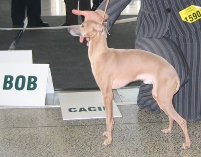 Publication : is noveles