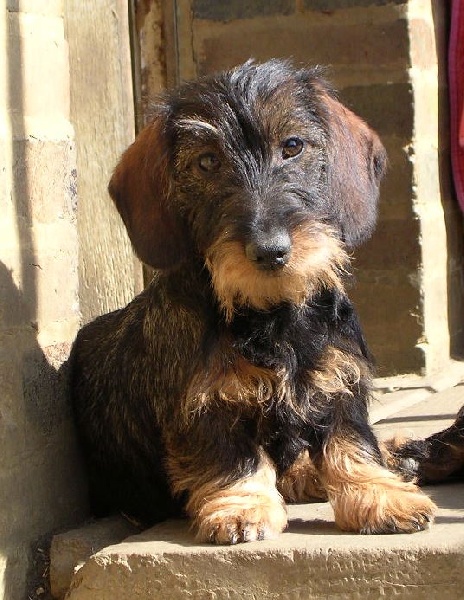 Publication : du Domaine de Beaulieu Auteur : EOLYNE'S