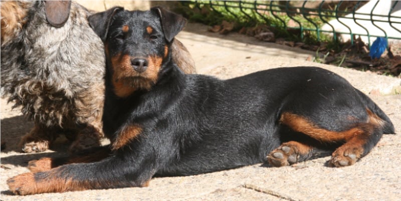 Publication : des plaines de Valinor 