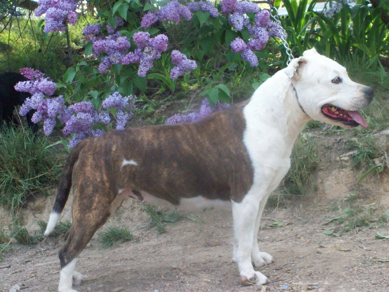 Publication : du chant de hienda 