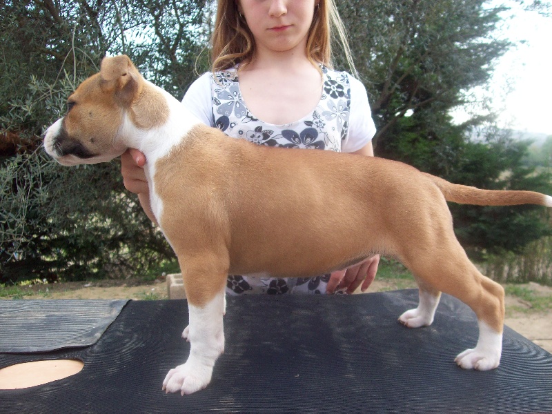 Publication : du chant de hienda