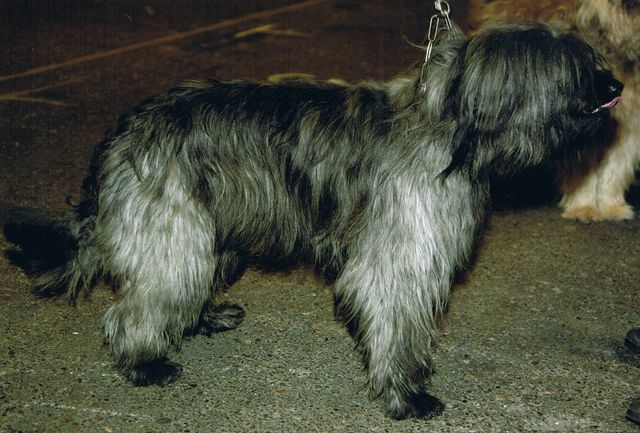 Publication : de la vallée des pluies Auteur : Bandelier Danielle