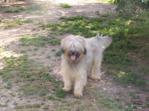 Publication : de la vallée des pluies Auteur : Danielle Bandelier