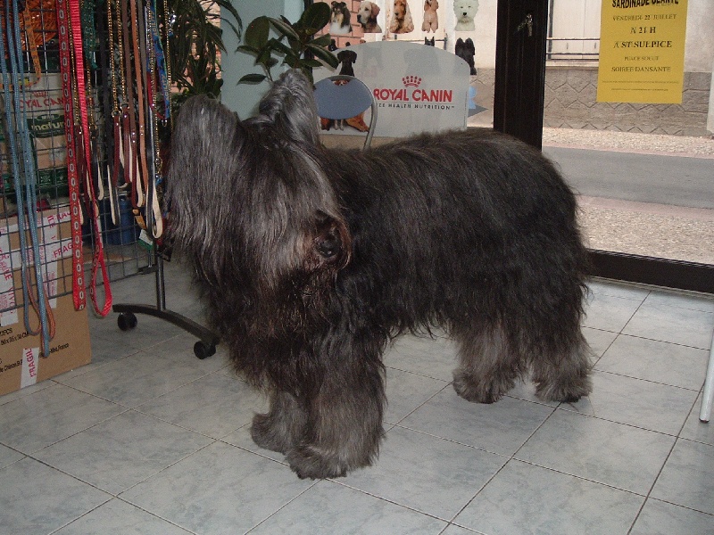 Publication : des amours de courdialou Auteur : ph Masclef