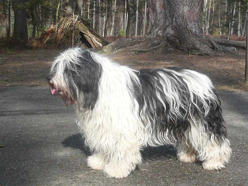 Publication : Chluba Z Polski Auteur : J.A.