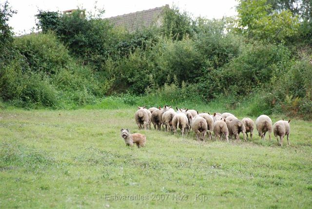 Publication : Du Malh Ardoun 