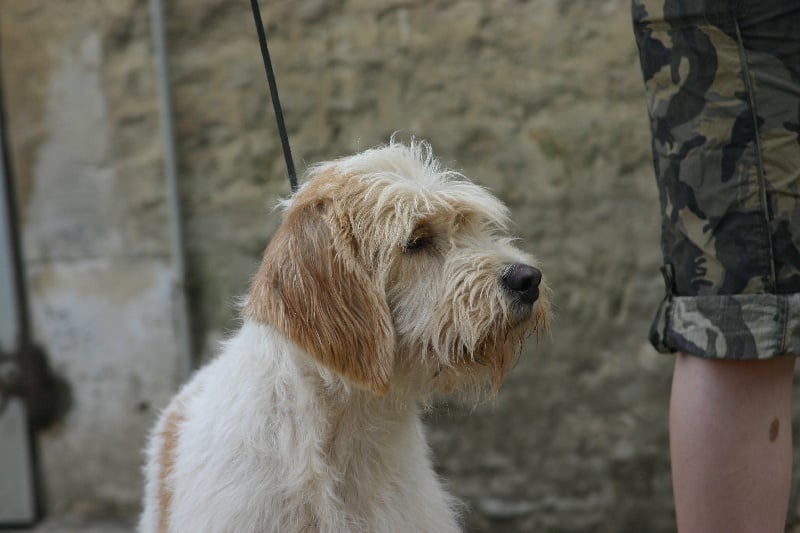 Altaï du sentier d'Aimeron