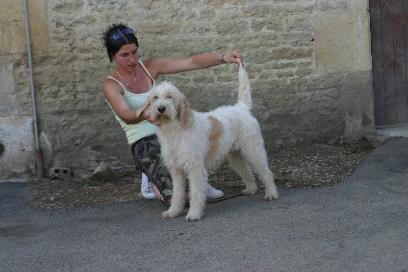 Publication : du sentier d'Aimeron Auteur : ELEVAGE DU SENTIER D'AIMERON