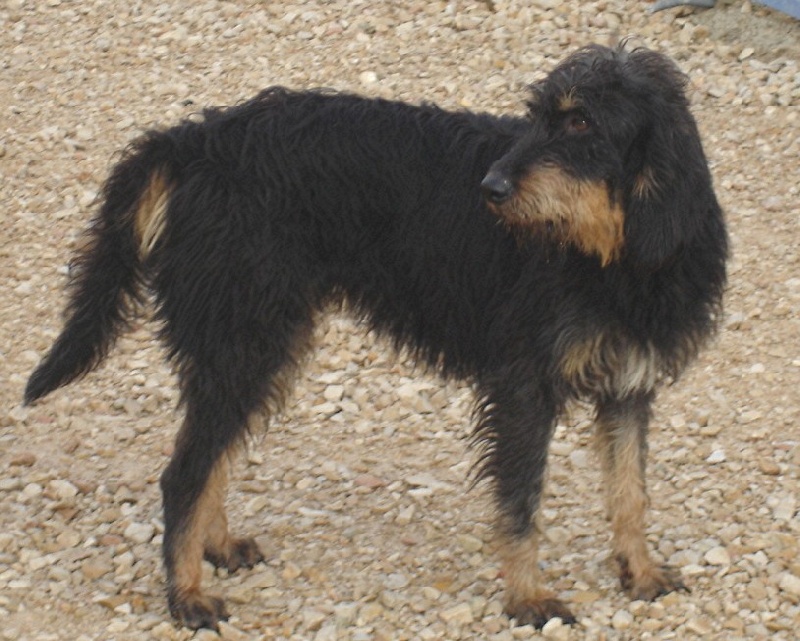 Publication : du roc d'Eden