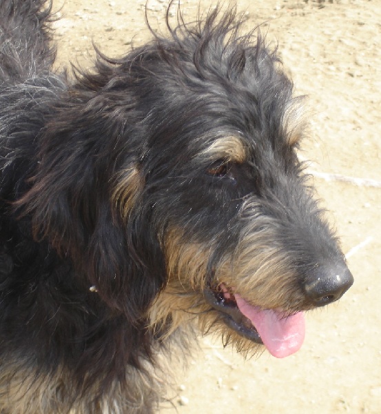 Publication : du roc d'Eden