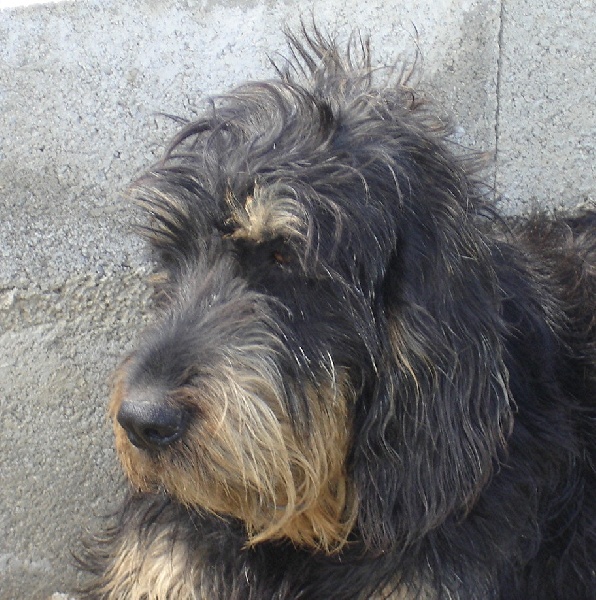 Publication : du roc d'Eden