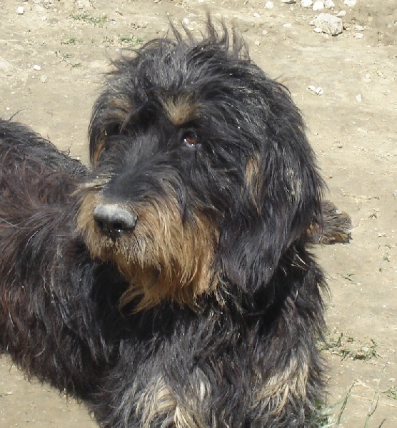 Publication : du roc d'Eden